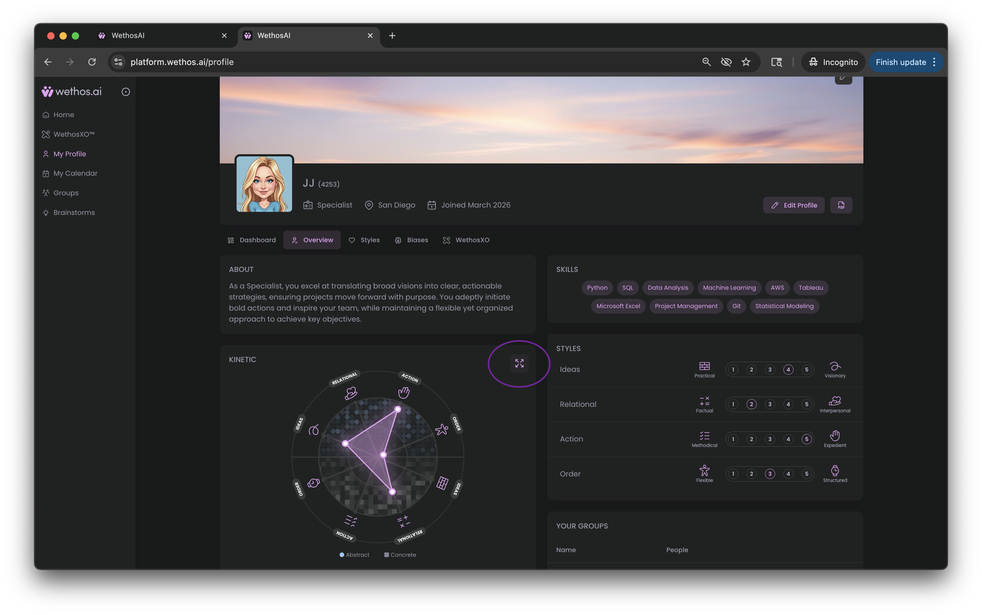 The Overview tab, with your profile drawn as a chart across the four dimensions