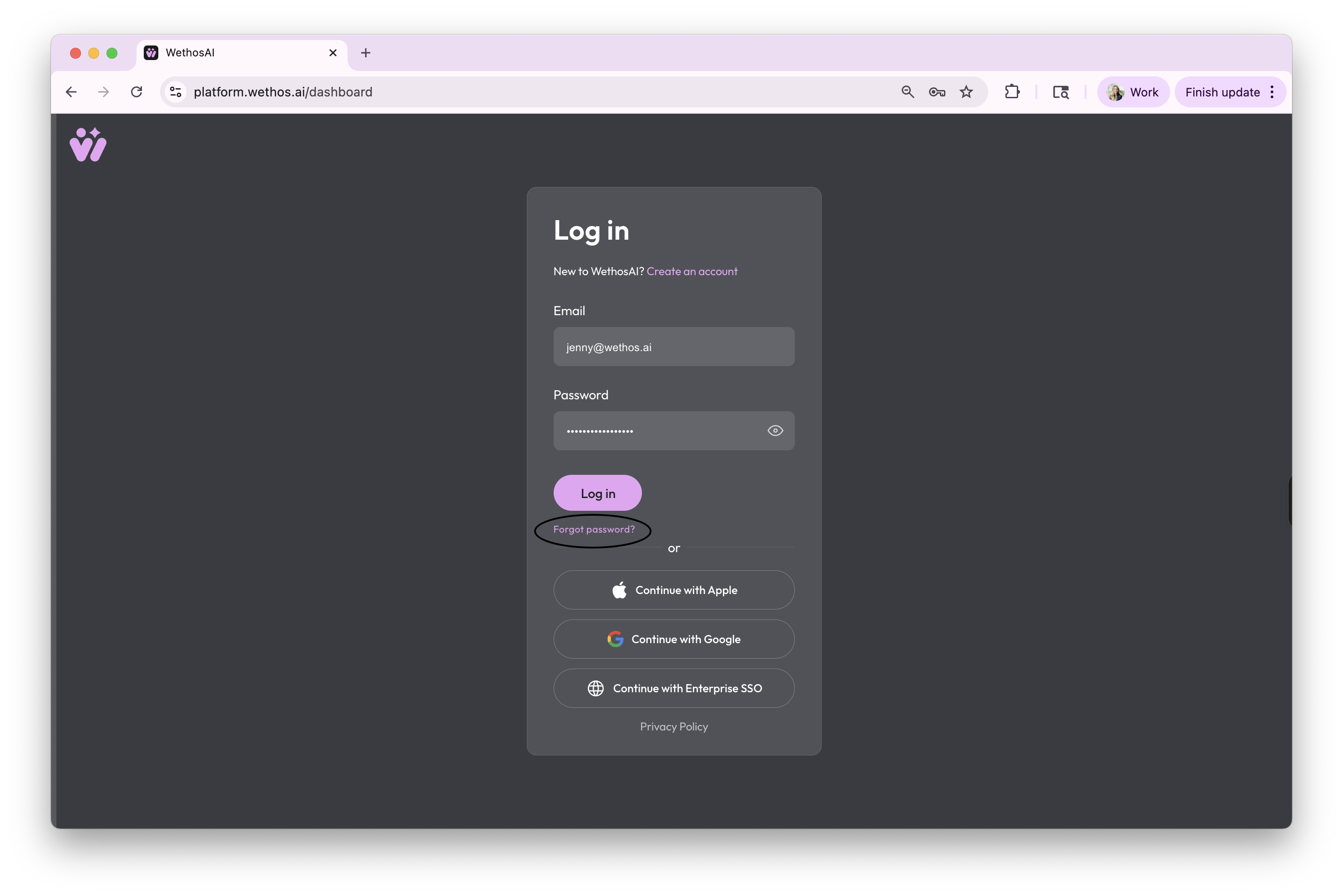 The log in screen, with the Forgot password link