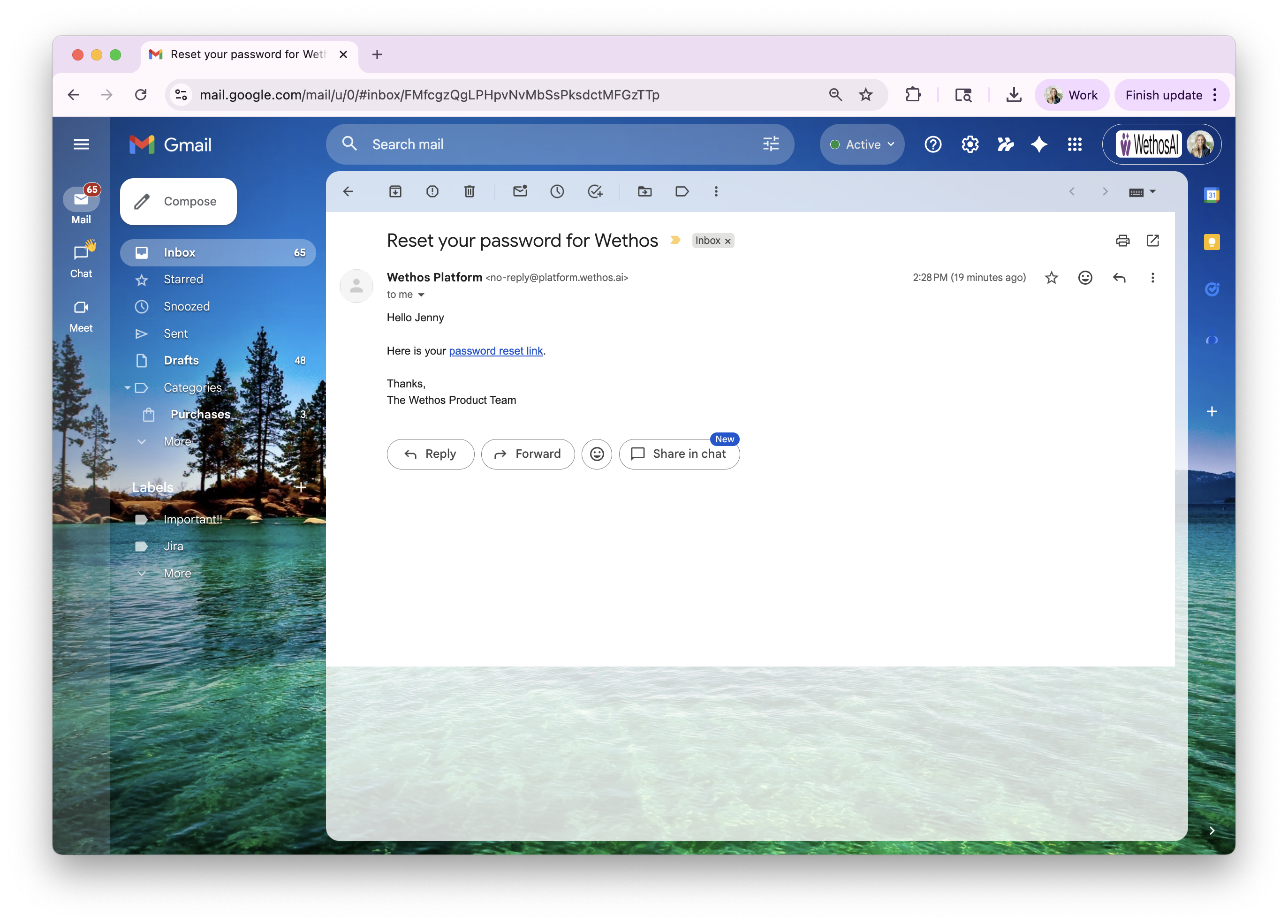 The password reset email in an inbox